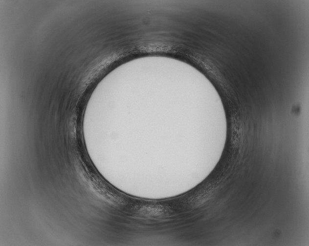 X0000115600631200912081114