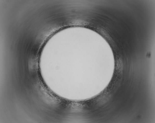 X0000115600632200912081114