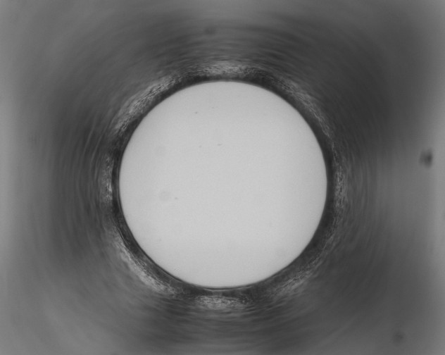 X0000115600633200912081114