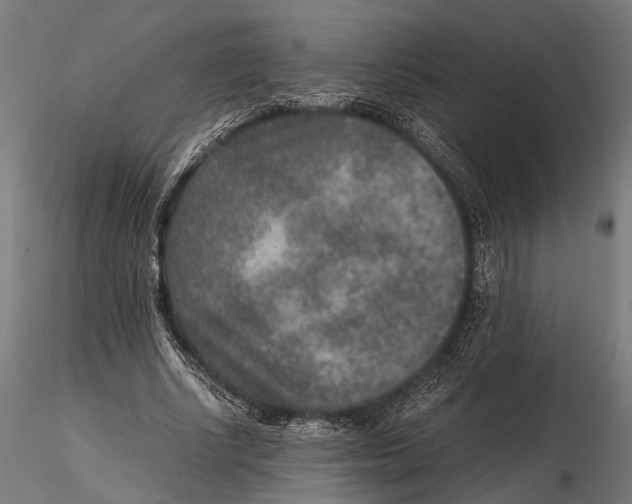 X0000115600634200912081114