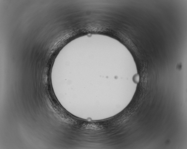 X0000115600635200912081114