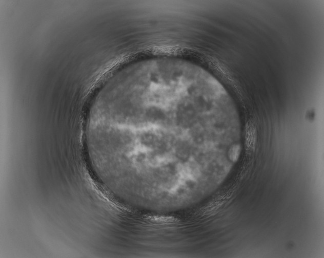 X0000115600637200912081114