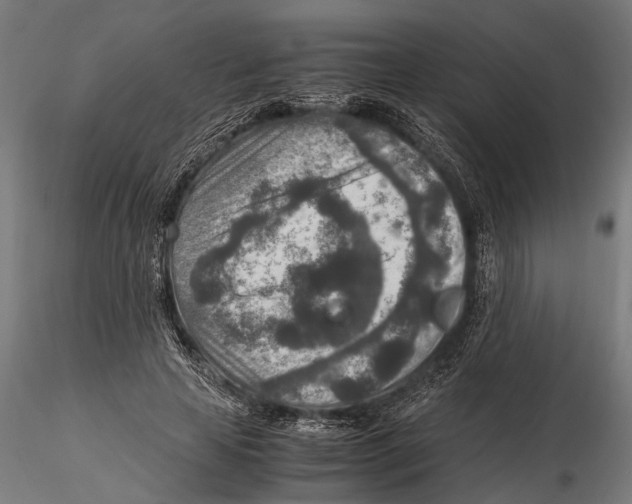 X0000115600641200912081114