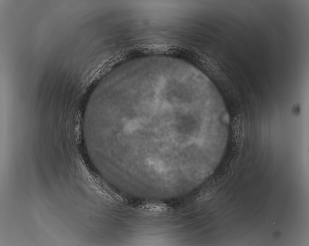 X0000115600642200912081114