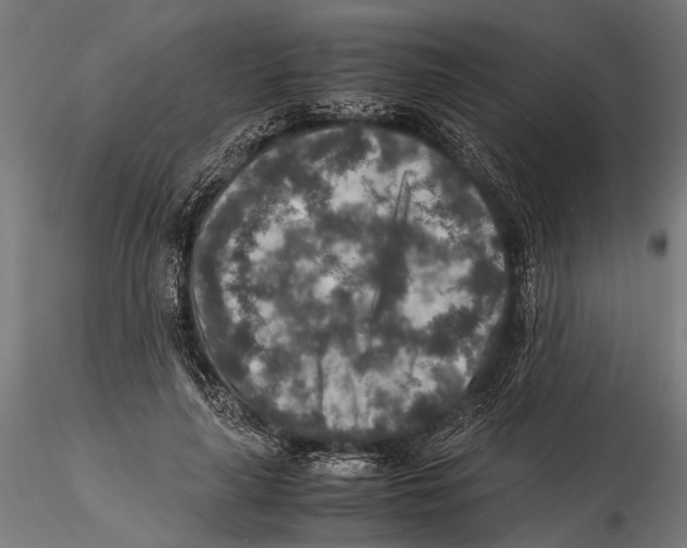 X0000115600643200912081114