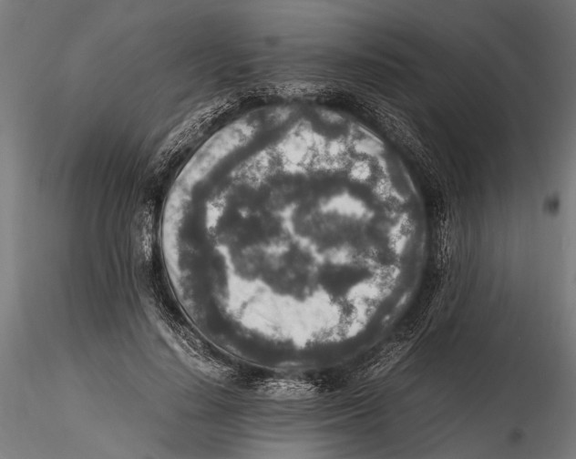 X0000115600644200912081114