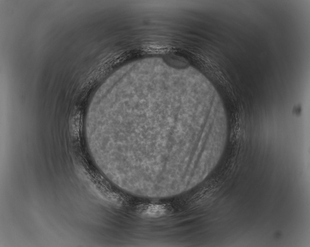 X0000115600647200912081114