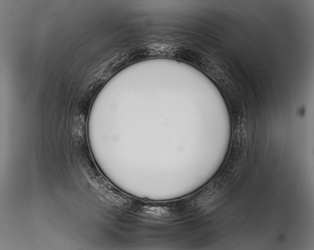 X0000115600649200912081114