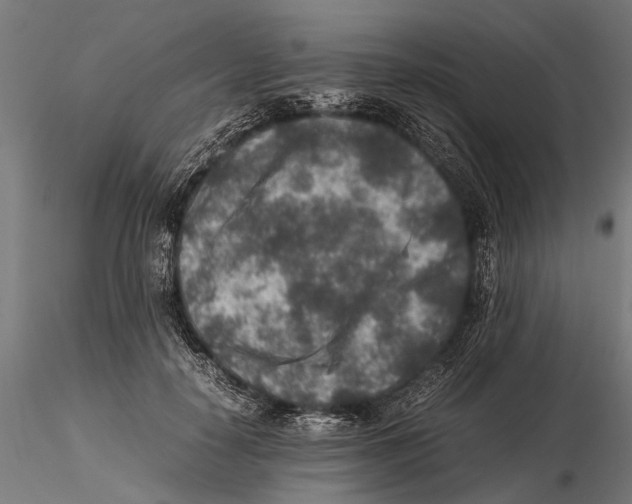 X0000115600650200912081114