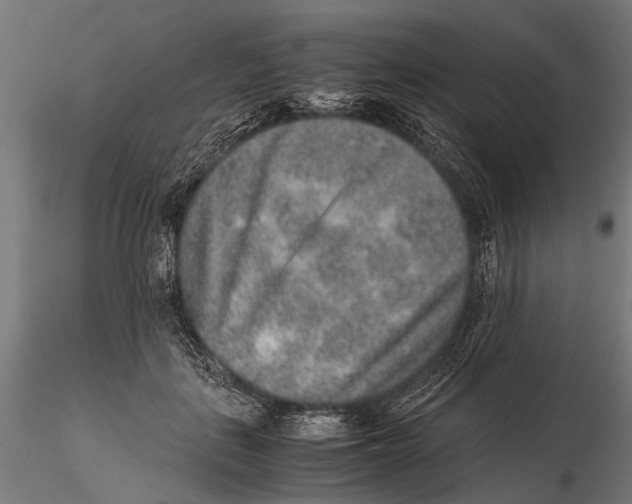 X0000115600651200912081114