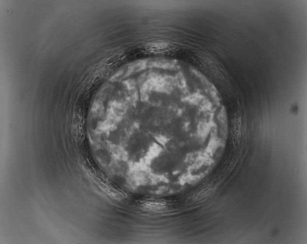 X0000115600653200912081114