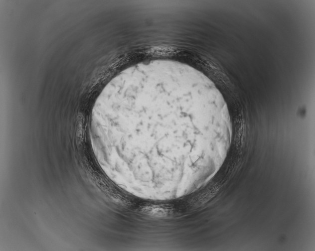 X0000115600655200912081114