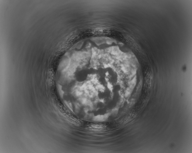 X0000115600659200912081114