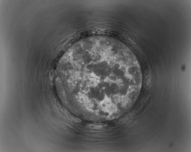 X0000115600661200912081115