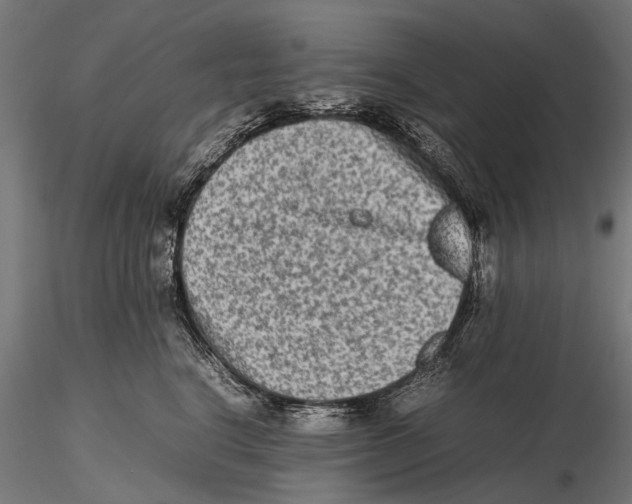 X0000115600664200912081115