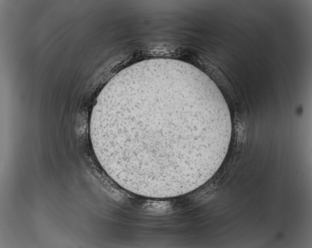 X0000115600665200912081115