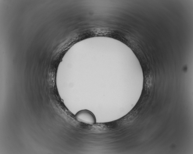 X0000115600666200912081115