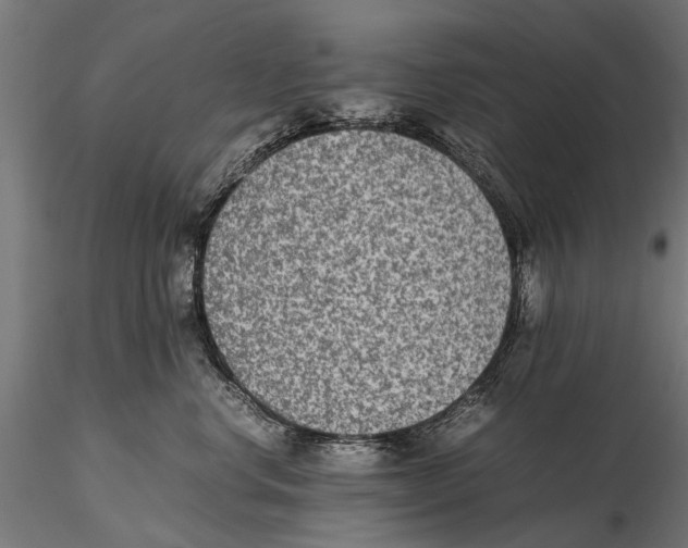 X0000115600668200912081115