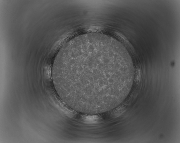 X0000115600669200912081115