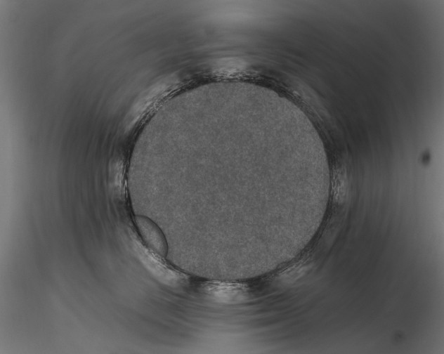 X0000115600670200912081115