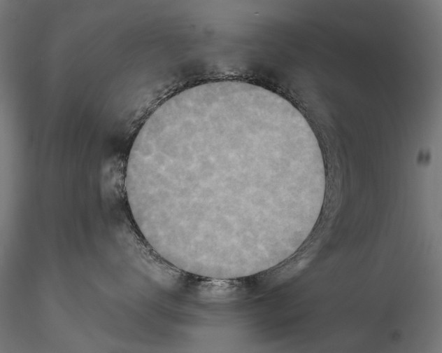 X0000115600672200912081115