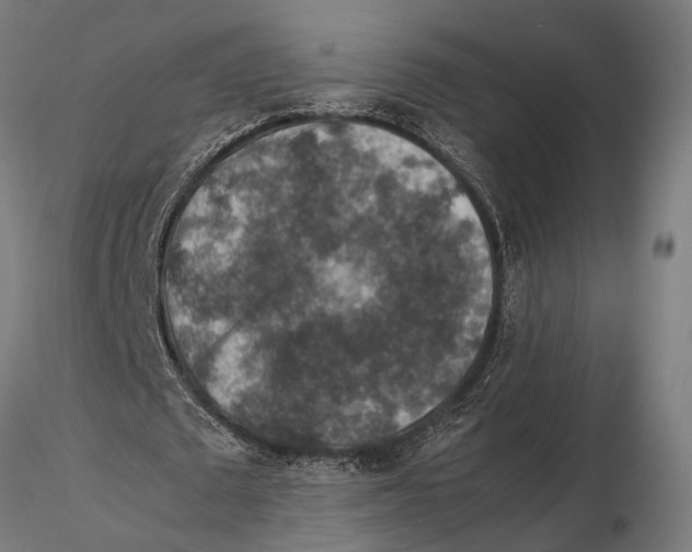 X0000115600673200912081114