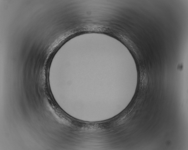 X0000115600674200912081114