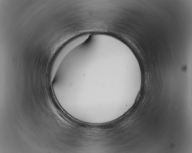 X0000115600677200912081114