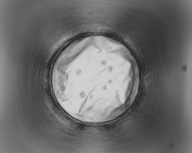 X0000115600679200912081114