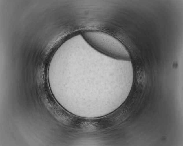 X0000115600680200912081114