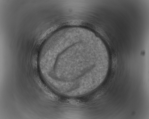 X0000115600681200912081114