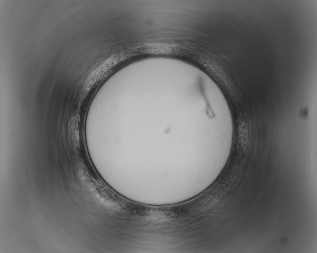 X0000115600682200912081114