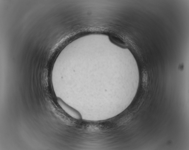 X0000115600684200912081114