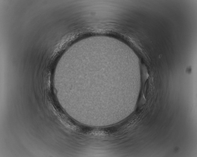 X0000115600685200912081114