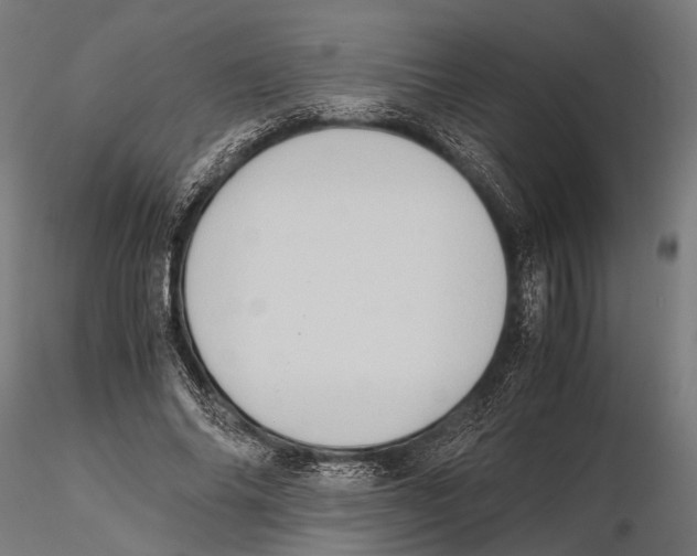 X0000115600686200912081114