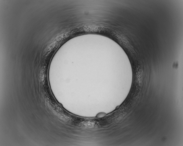 X0000115600687200912081114