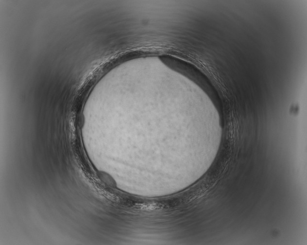 X0000115600688200912081114