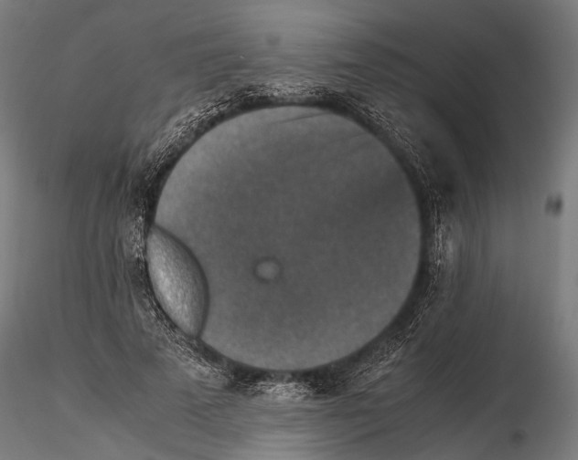 X0000115600689200912081114