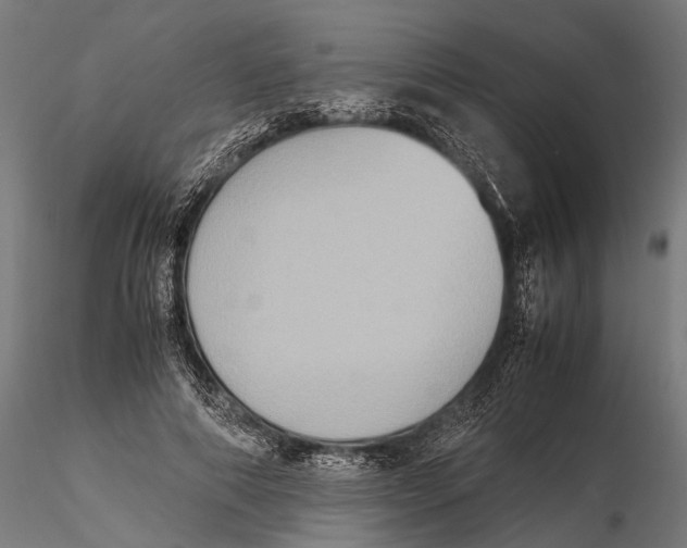 X0000115600690200912081114