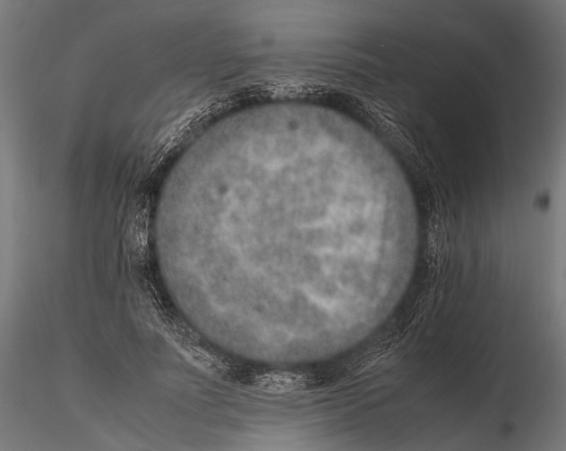 X0000115600691200912081114