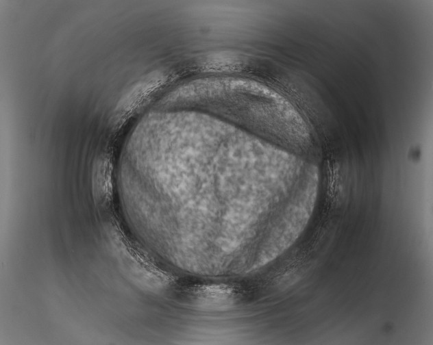 X0000115600692200912081114