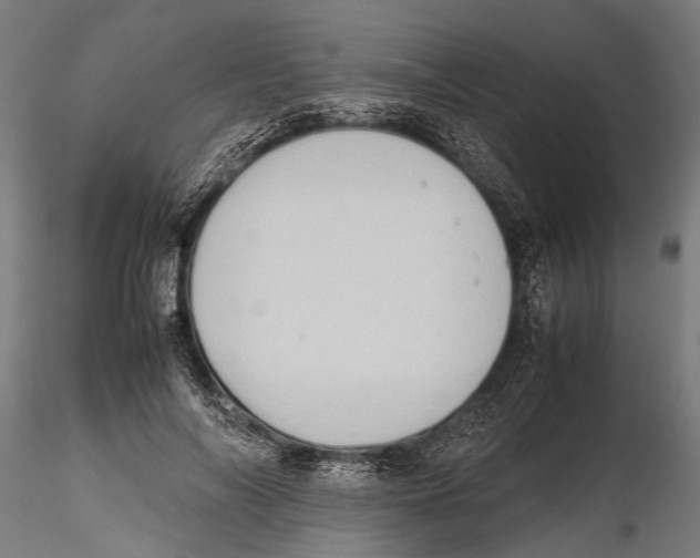 X0000115600694200912081114