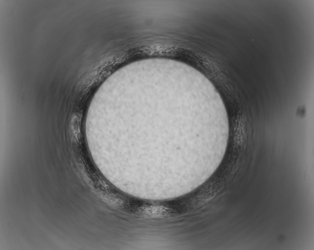 X0000115600695200912081114