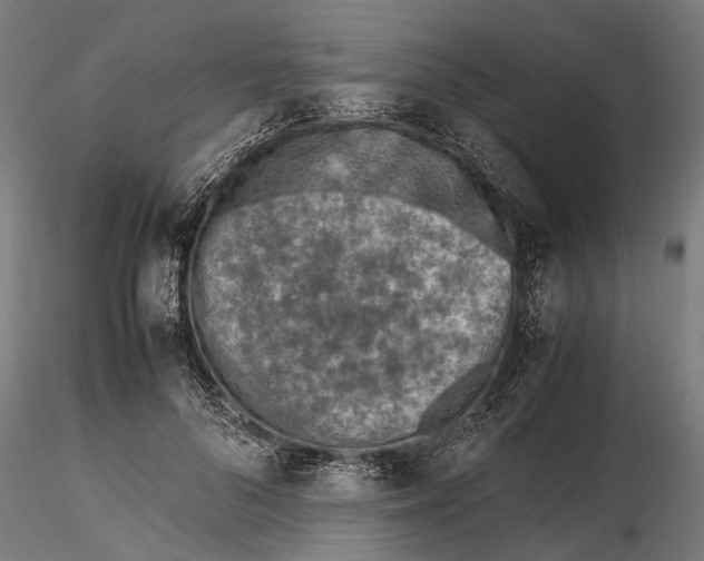 X0000115600696200912081114