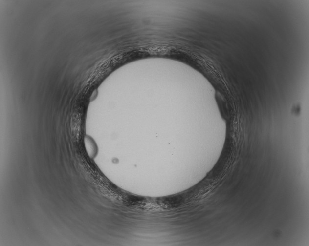 X0000115600697200912081114