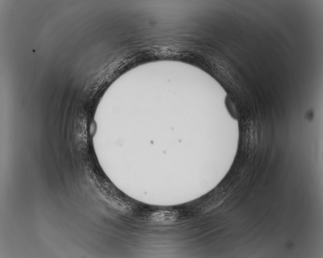 X0000115600700200912081113