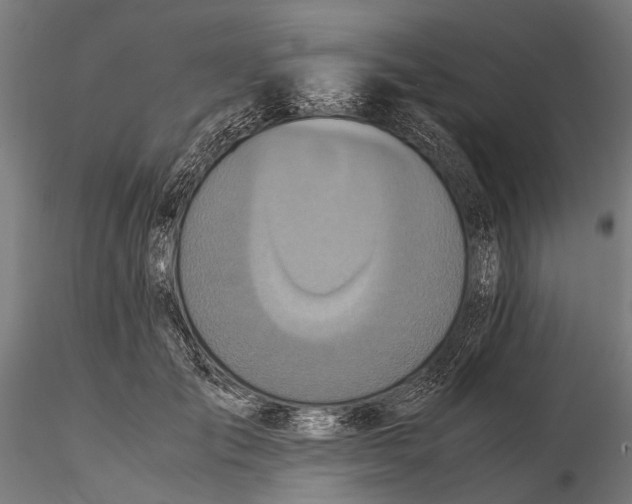 X0000115600701200912081113