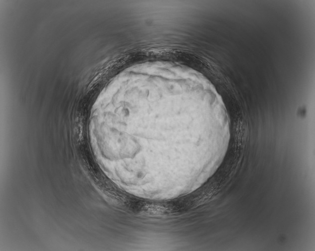 X0000115600703200912081113