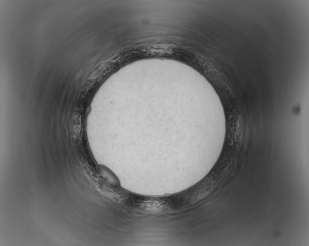 X0000115600704200912081113