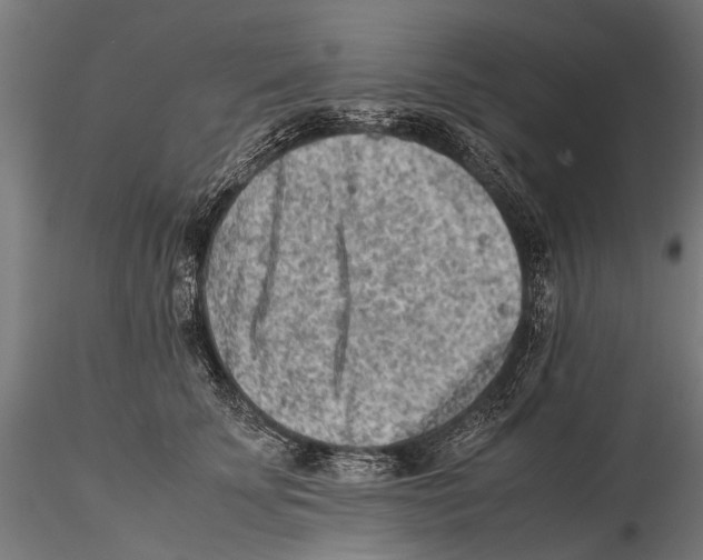 X0000115600707200912081113